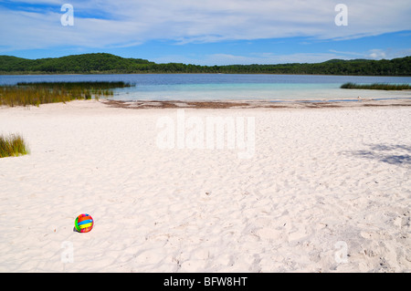 Lac Birrabeen, Fraser Island, Queensland, Australie Banque D'Images