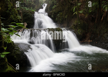 Cascades Onomea Hawaii Tropical Botanical Garden New York USA Banque D'Images