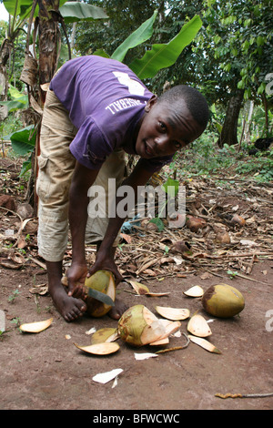 Jeune garçon Chopping coco avec une machette. Prise à une ferme d'épices, Zanzibar, Tanzania Banque D'Images