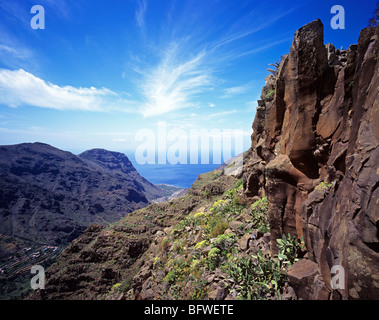 Des paysages spectaculaires à Valle Gran Rey, une vallée de terrasses cultivées sur l'île de La Gomera Banque D'Images
