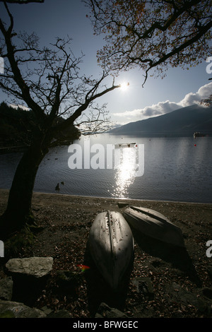 Salon du Loch Lomond, Ecosse. D'automne, pittoresque, se découpant sur un chien à pagayer à Rowardennan shores. Banque D'Images