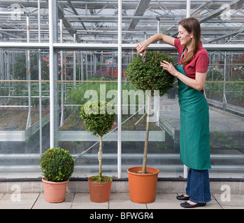 Femme prendre soin de plant Banque D'Images