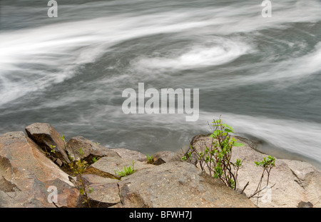 Tourbillons de mousse dans la rivière Onaping cascade ci-dessous, le Grand Sudbury, Ontario, Canada Banque D'Images