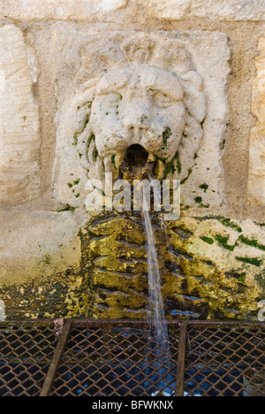 Fontaine avec tête de lion. Banque D'Images