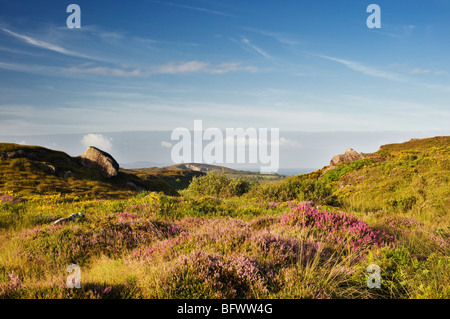 Vue sur tête de mouton et l'océan Atlantique, du bas des pentes du mont Sugarloaf, Beara, West Cork, Irlande Banque D'Images