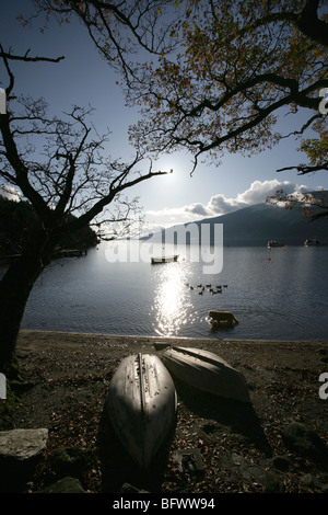 Salon du Loch Lomond, Ecosse. D'automne, pittoresque, se découpant sur un chien à pagayer à Rowardennan shores. Banque D'Images