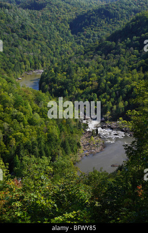 Gauley River et Virginie occidentale dans les montagnes des États-Unis dans le paysage d'automne haute résolution verticale haute résolution Banque D'Images