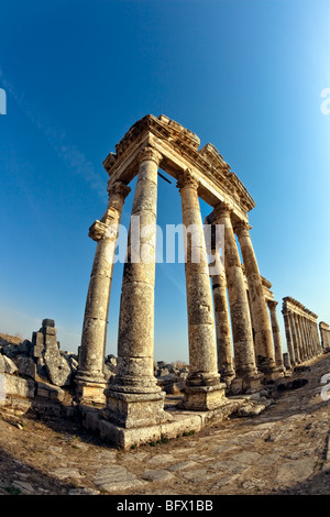 Pompey fait Apamée (Apameia) ou Afamia (Arabe) partie de l'Empire romain en Syrie. Cardo Maximus rue avec des colonnes. Et romain Banque D'Images