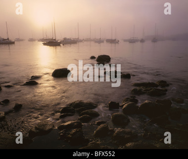 Californie - Le Lever du soleil sur la baie de Monterey. Banque D'Images