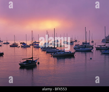 Californie - Lever du soleil sur la baie de Monterey enveloppée de brouillard. Banque D'Images