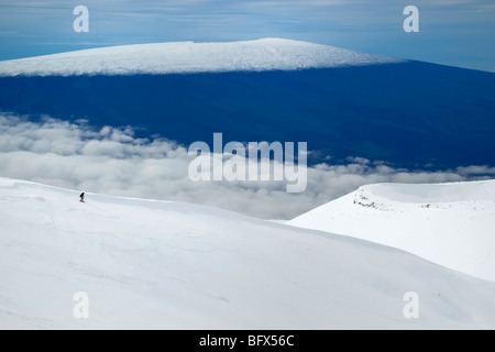 Snowboarder, volcan Mauna Kea, le Mauna Loa volcano dans la distance, point le plus élevé à Hawaii, 13796', la grande île d'Hawaï Banque D'Images