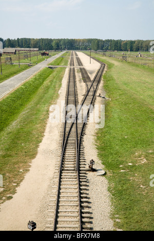 Des lignes de chemin de fer menant à l'intérieur de l'entrée principale de Birkenau (Auschwitz II - Birkenau) Camp de la mort nazi. Oswiecim, Pologne. Banque D'Images