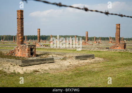 Clôture de périmètre / Birkenau (Auschwitz II Birkenau) Camp de la mort nazi à Oswiecim, Pologne, et les cheminées de briques de dortoirs derrière Banque D'Images