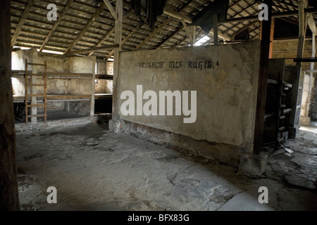 Berceaux pour les prisonniers à l'intérieur d'une cabane (numéro 9)/ faire de la Birkenau (Auschwitz II - Birkenau) Camp de la mort nazi à Oswiecim, Pologne. Banque D'Images