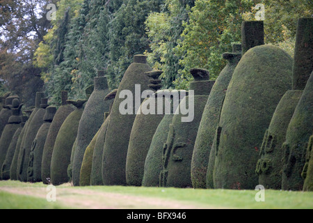 L'arbre d'If Avenue au Clipsham Rutland,une collection de 150 coupé if de plus de 200 ans Banque D'Images