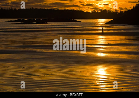 Figures humaines marche sur la plage MacKenzie à marée basse près de Sunset, Tofino, BC British Columbia, Canada Banque D'Images