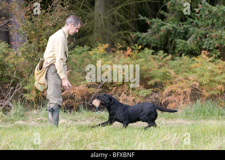 Entraîneur de chien avec un chien labrador de l'extraction d'un mannequin de formation Banque D'Images