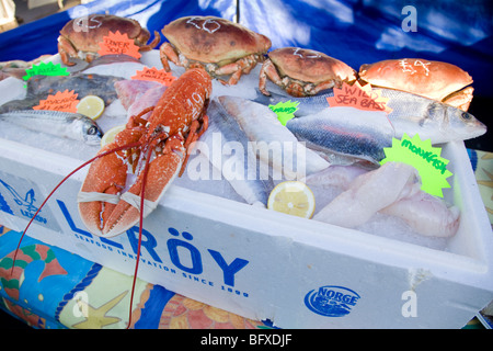 Close-up de homards, crabes et poissons, affichée sur la glace sur une échoppe de marché. Banque D'Images