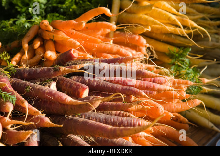 Close-up de couleur diverses carrotts sur une échoppe de marché. Banque D'Images