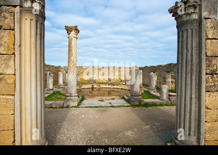 Ruines romaines de Volubilis au Maroc Banque D'Images