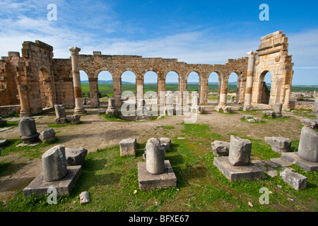 Ruines basilique romaine à Volubilis au Maroc Banque D'Images