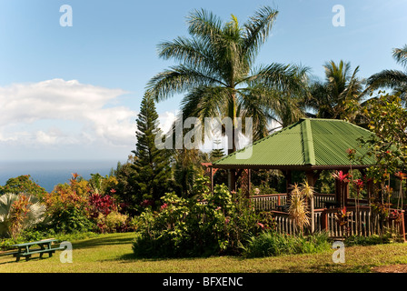 Vue sur l'océan pacifique du jardin d'Eden sur la route de Hana Maui, Hawaii Banque D'Images