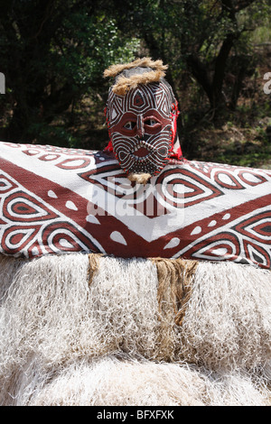 Rituellement habillé (costumes). Lesedi Cultural Village, Afrique du Sud, Novembre 2009 Banque D'Images