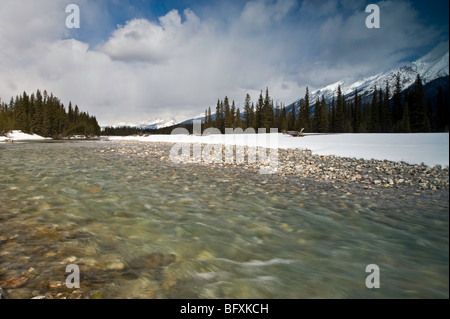 Rivière Kootenay, à la fin de l'hiver, le Parc National de Kootenay, Colombie-Britannique British Columbia, Canada Banque D'Images