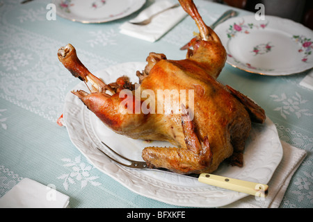 Dîner de Thanksgiving oiseau. Banque D'Images