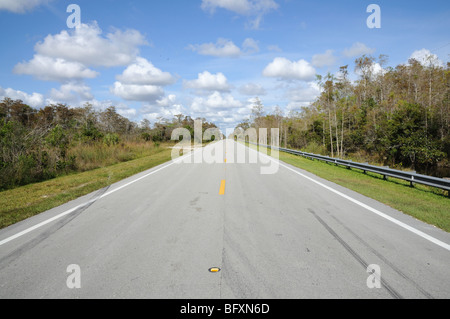 Route dans le parc national des Everglades, Florida USA Banque D'Images