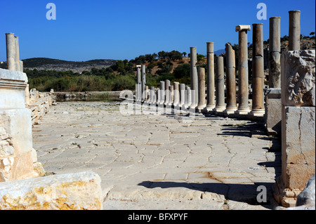 La façon dont la ligne de colonnes antiques dans les ruines de Patara Banque D'Images