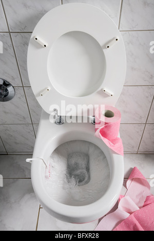 Toilettes blanc avec papier toilette rose Banque D'Images