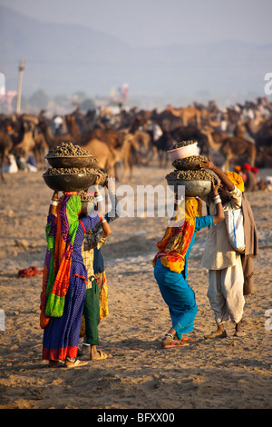 L'homme l'achat du biocarburant à la bouse de chameau le chameau juste à Pushkar Inde Banque D'Images