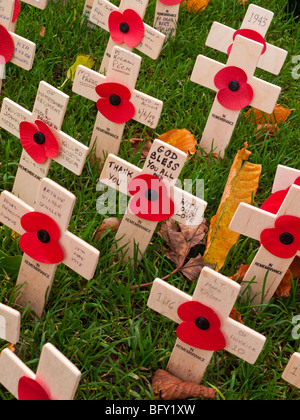 Détail de coquelicots et croix en bois avec des noms de service technique sur le souvenir dimanche de novembre au Royaume-Uni Banque D'Images