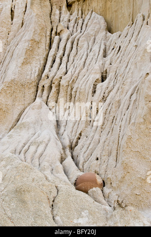 Détail de mudstones érodés et 'boulet' concrétions, Parc National Theodore Roosevelt, Unité Nord, Dakota du Nord, USA Banque D'Images