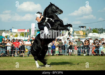 Standing Tall, un beau cheval noir et son cavalier élégant afficher leurs compétences aux visiteurs de regarder l'émission à un juste Gascon Banque D'Images