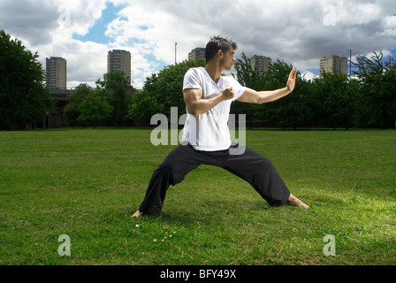 Man doing martial arts Banque D'Images