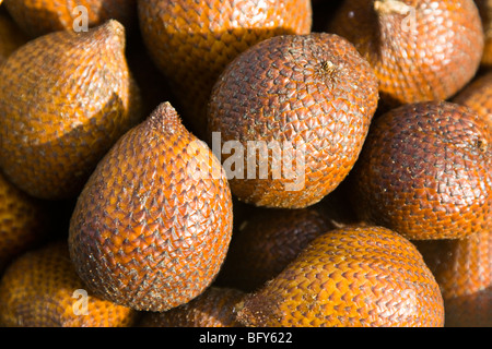 Salak ou fruits Snake sur l'île de Lombok en Indonésie Banque D'Images