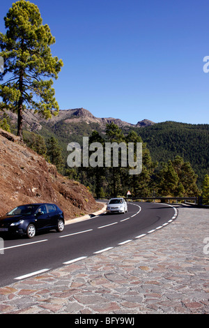 La route d'El Teide EN PASSANT PAR LA COURONNE AVANT D'ENTRER DANS LA FORÊT DU PARC NATIONAL. TENERIFE. Banque D'Images