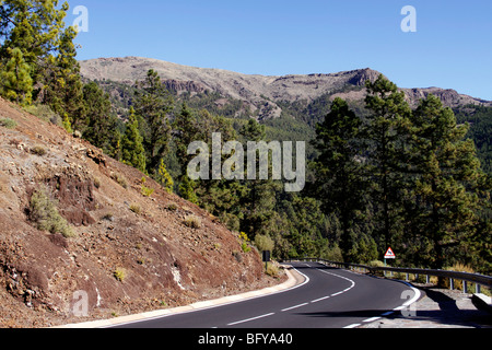 La route d'El Teide EN PASSANT PAR LA COURONNE AVANT D'ENTRER DANS LA FORÊT DU PARC NATIONAL. TENERIFE. Banque D'Images