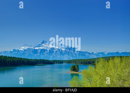 Feuillage de printemps, deux Jack et Mt. Rundle, Banff National Park, Alberta, Canada Banque D'Images
