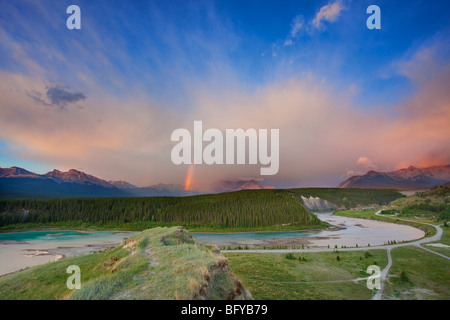 Spectaculaire et arc-en-ciel à l'aube, le mouflon d'Désert, près de Nordegg, Alberta, Canada Banque D'Images