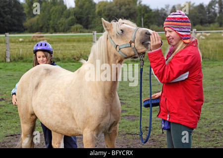 Deux jeunes filles se brosser un poney Banque D'Images