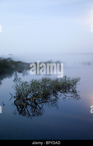 Réservoir à Stithians nuit ; avec brouillard et le clair de lune Banque D'Images