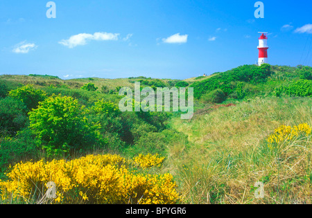 Nouveau phare au milieu des dunes de sable, l'île de Borkum, en Frise orientale, Basse-Saxe, Allemagne du Nord Banque D'Images