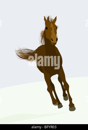 Beau cheval de course Banque D'Images