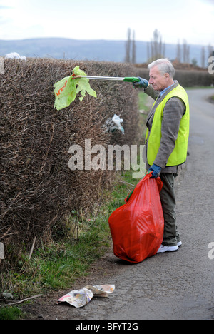 Stan Pierre inférieur de Apperley Gloucestershire UK qui recueille volontairement dans le domaine de la litière Banque D'Images