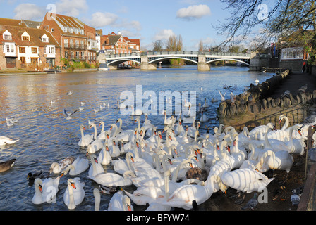 Pont de Windsor Banque D'Images