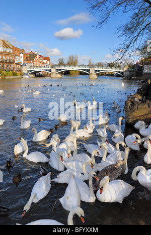 Pont de Windsor Banque D'Images