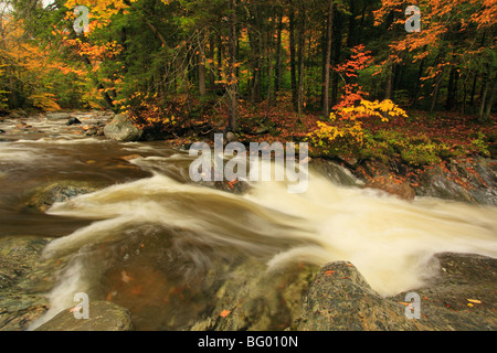 Brook à la Texas Falls, Vermont, Breadloaf Banque D'Images
